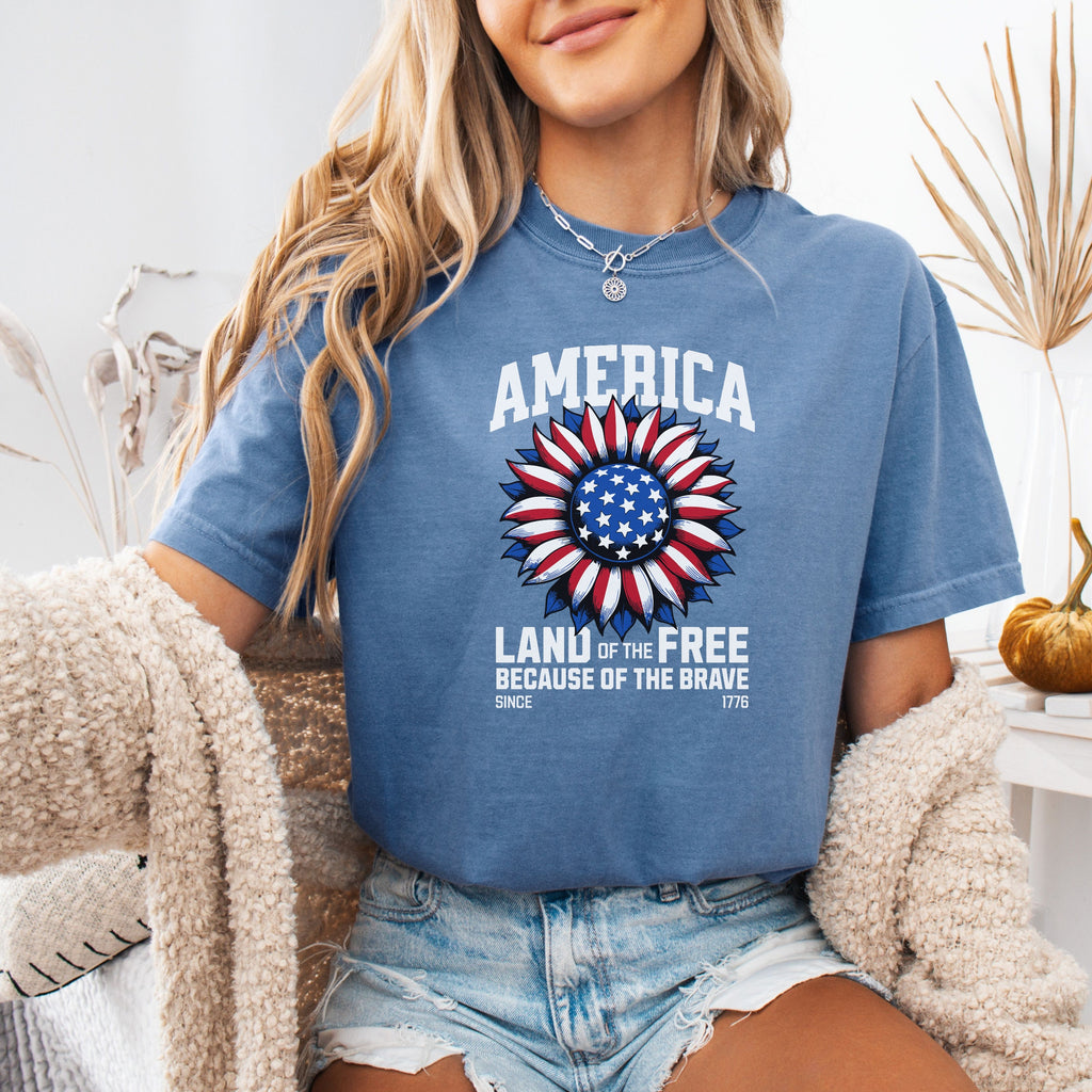 Freedom 250th Anniversary USA 1776–2026 Shirt