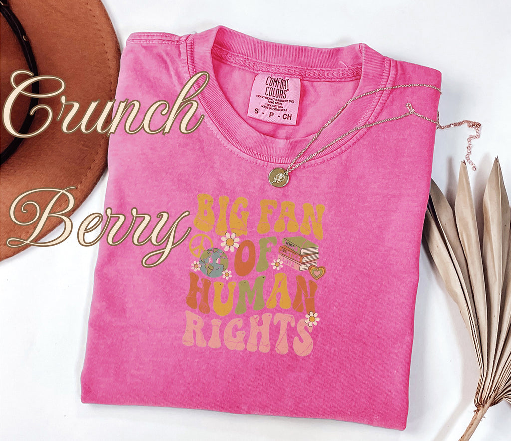 Big Fan of Human Rights Retro Peace Shirt